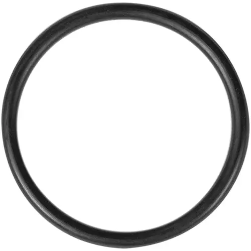 Aladdin O-Ring O-125 1