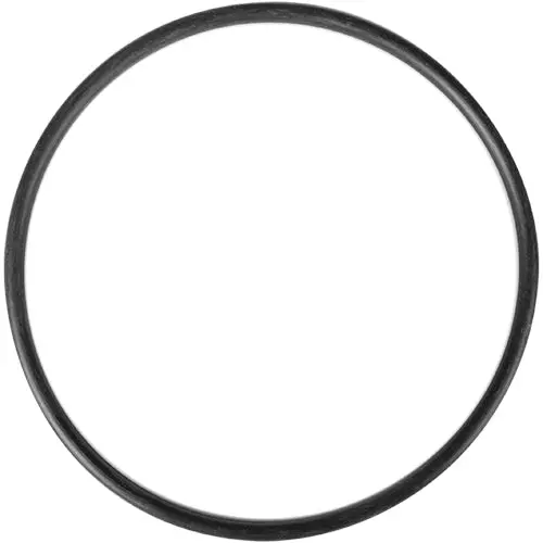 Aladdin O-Ring O-151 1