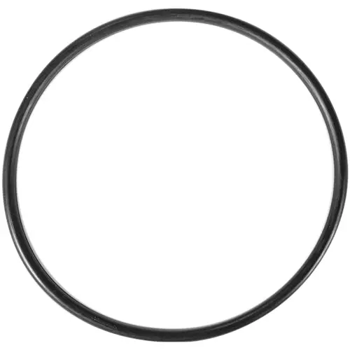 Aladdin O-Ring O-168 1