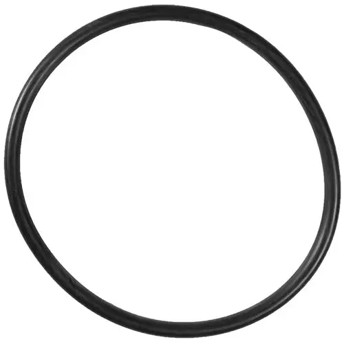 Aladdin O-Ring O-171 1
