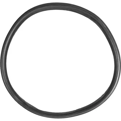 Aladdin O-Ring O-172 1