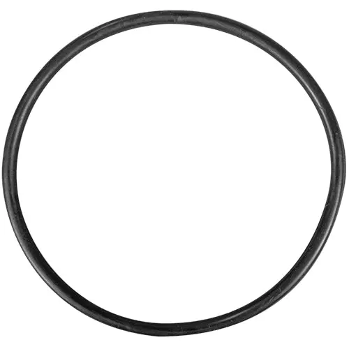 Aladdin O-Ring O-218 1