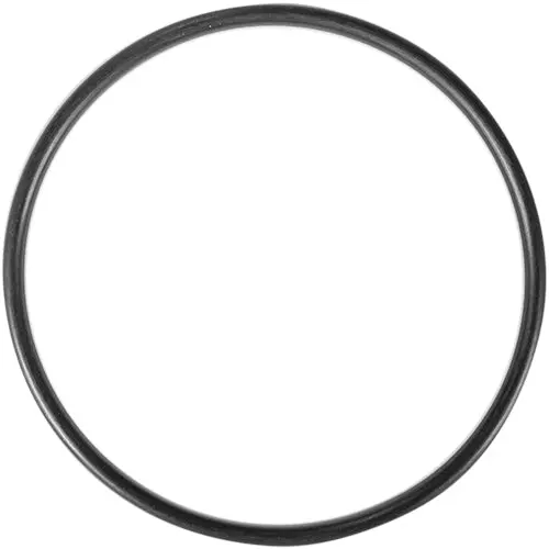 Aladdin O-Ring O-223 1