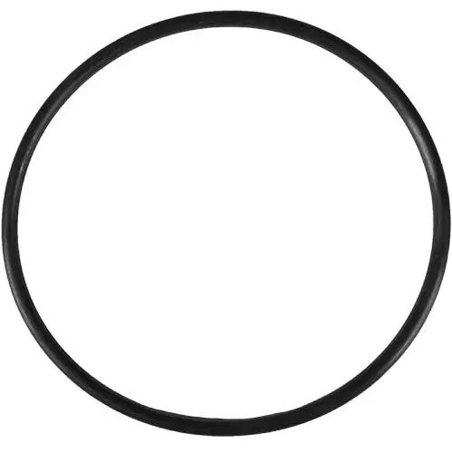 Aladdin O-Ring O-231 1