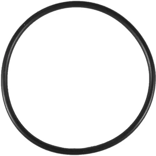 Aladdin O-Ring O-24 1