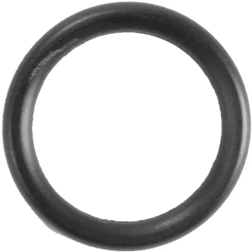 Aladdin O-Ring O-276 1