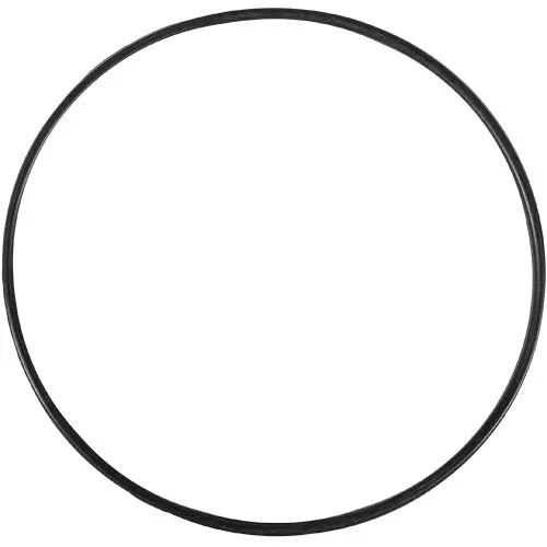 Aladdin O-Ring O-299 1