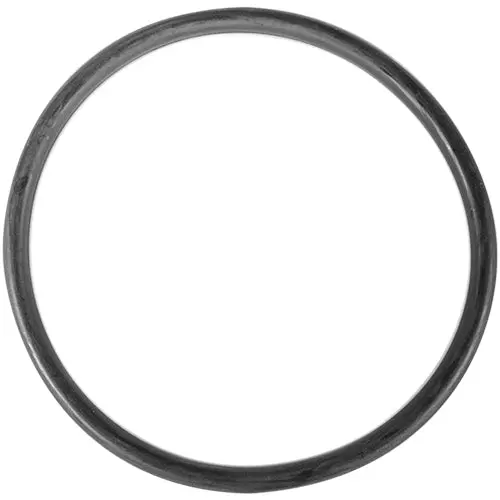 Aladdin O-Ring O-301 1