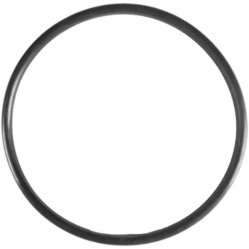 Aladdin O-Ring O-318 1