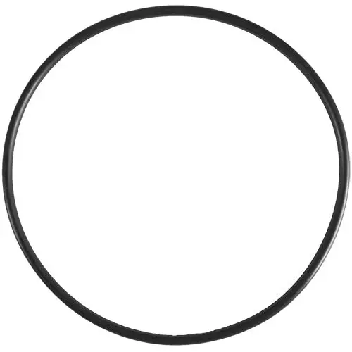 Aladdin O-Ring O-358 1