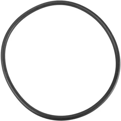 Aladdin O-Ring O-366 1