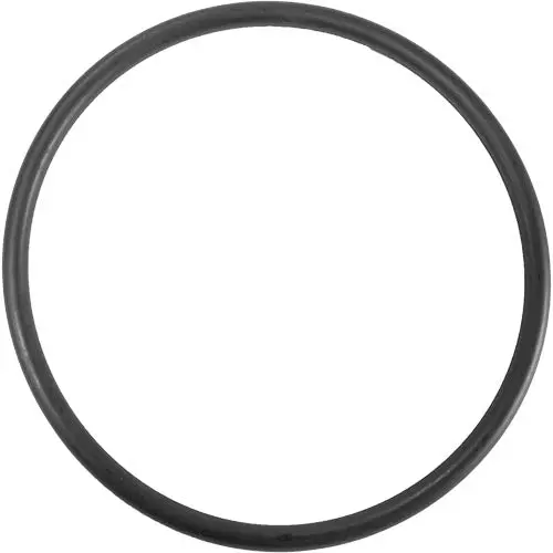 Aladdin O-Ring O-384 1