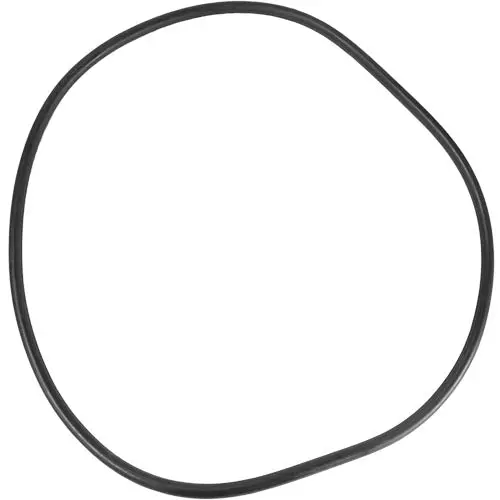 Aladdin O-Ring O-429 1
