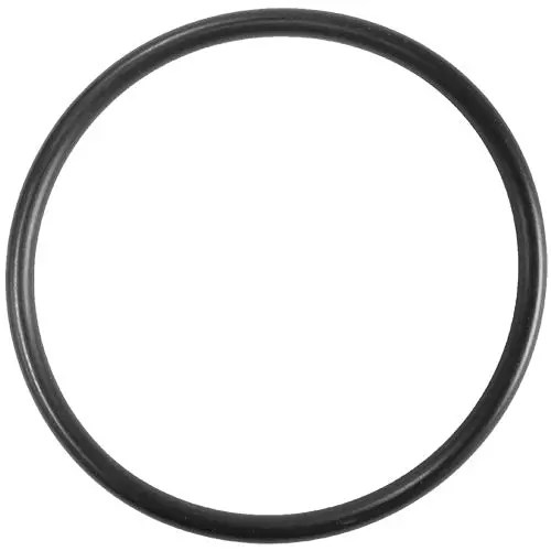 Aladdin O-Ring O-442 1