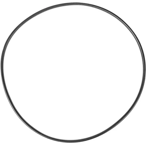 Aladdin O-Ring O-479 1