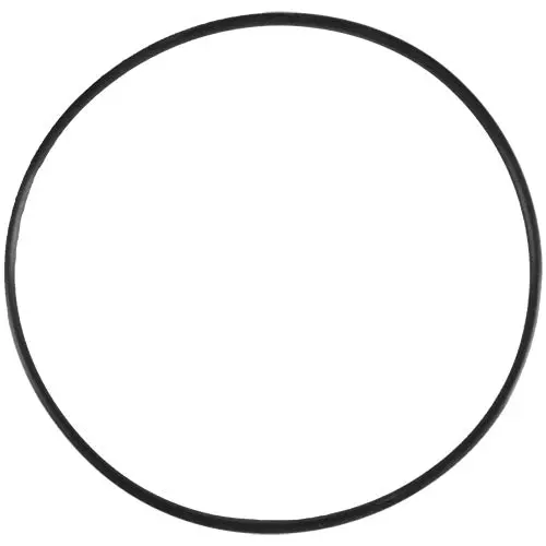 Aladdin O-Ring O-48 1