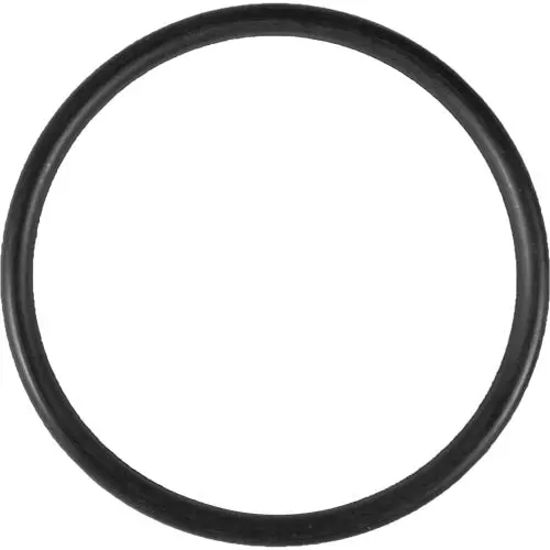Aladdin O-Ring O-49 1