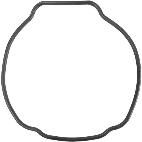 Aladdin O-Ring O-529 1