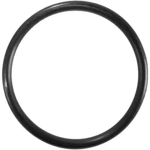 Aladdin O-Ring O-649 1