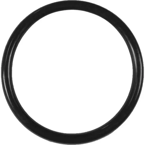 Aladdin O-Ring O-83 1