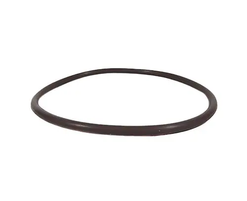 Hayward Piston Lid O-Ring Orx352v70 1