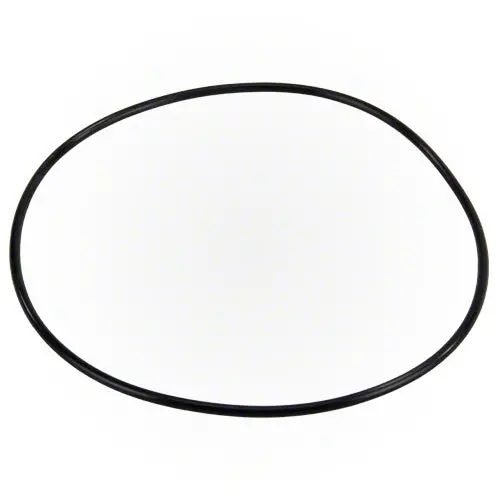 Polaris Booster Pump Bracket O-Ring P95 1