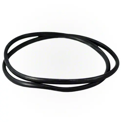 Jandy Filter Tank O-Ring R0357800 1