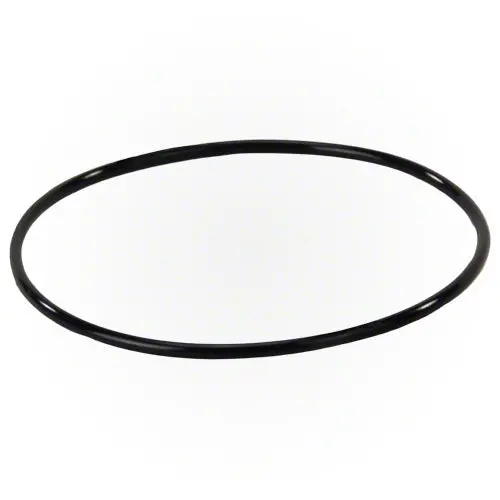 Jandy Energy Filter O-Ring R0374500 1