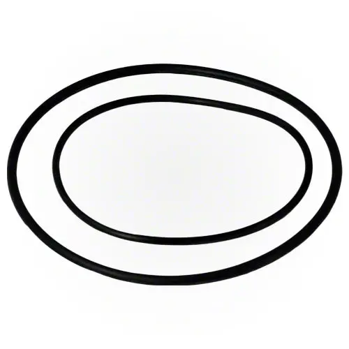 Jandy Pump Lid O-Ring R0446200 1
