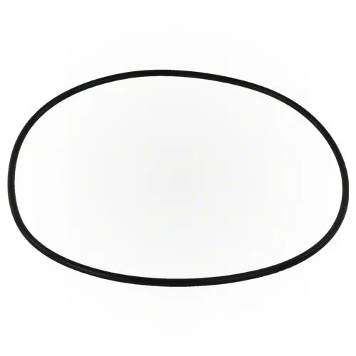 Jandy Backplate O-Ring R0446300 1
