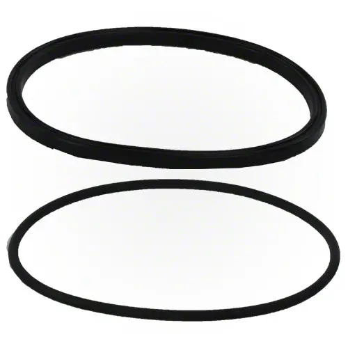 Jandy Plushp Lid Seal With O-Ring R0449100 1