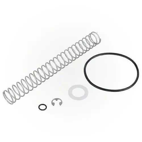 Jandy Heater Bypass Spring R0453900 1