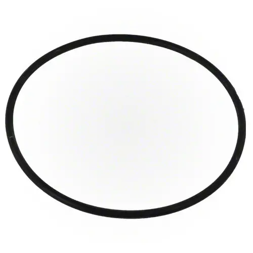 Jandy Valve O-Ring R0465700 1