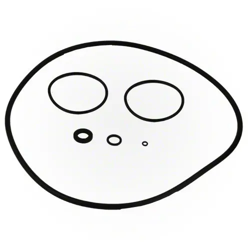 Jandy Cs Filter O-Ring Set R0466300 1