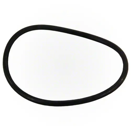 Jandy Flopro Pump Lid O-Ring R0480200 1