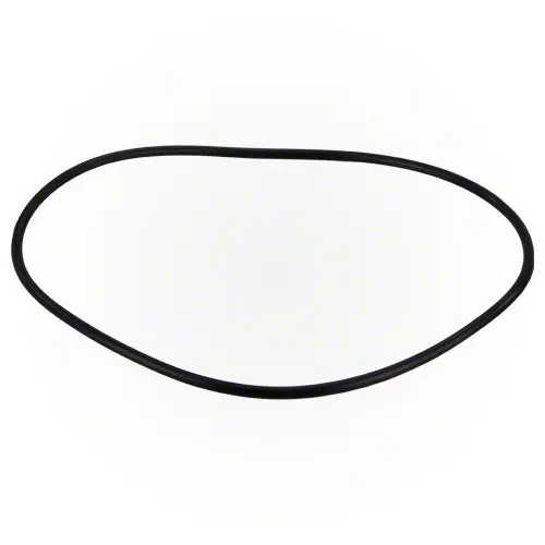 Jandy Flopro Backplate O-Ring R0480300 1