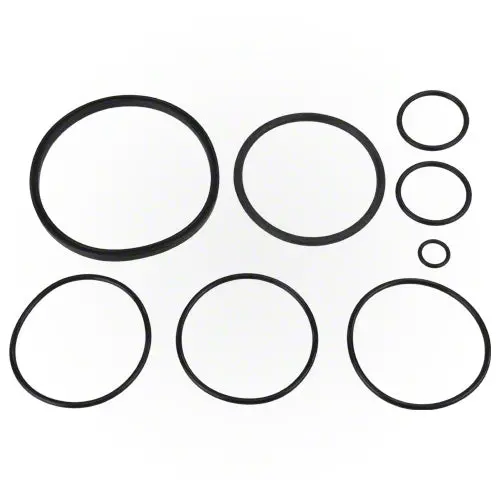 Zodiac Nature 2 Fusion O-Ring Kit R0502500 1