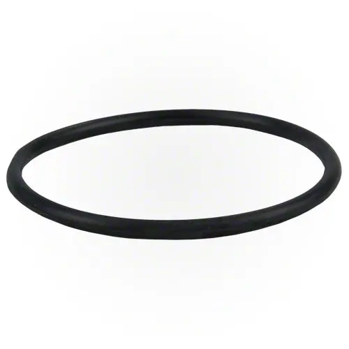 Jandy Electrode Housing O-Ring R0738500 1