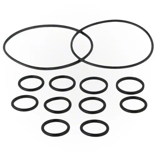 Jandy Backwash Valve O-Ring Kit R0552400 1