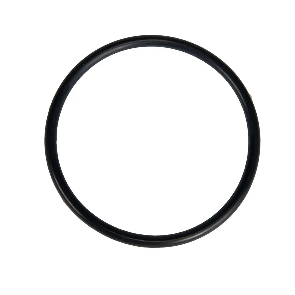 Jandy O-Ring R0622000 1