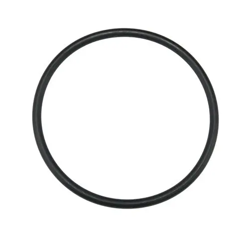 Jandy O-Ring R0694100 1