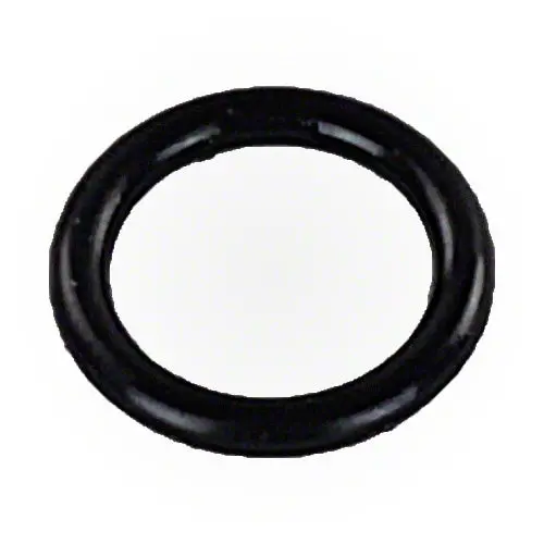 Pentair O-Ring R172221 1