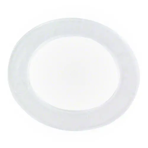 Pentair Cartridge Gasket R172222 1