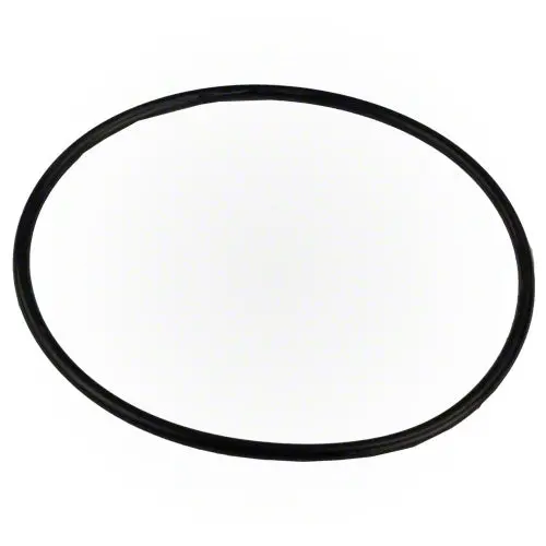 Pentair O-Ring R172223 1