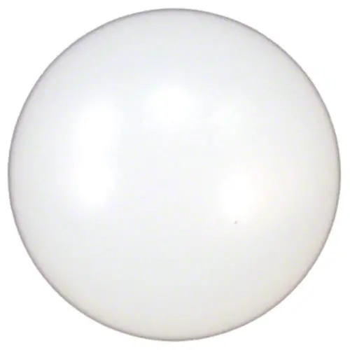 Pentair Hc Series Check Ball R172435 1