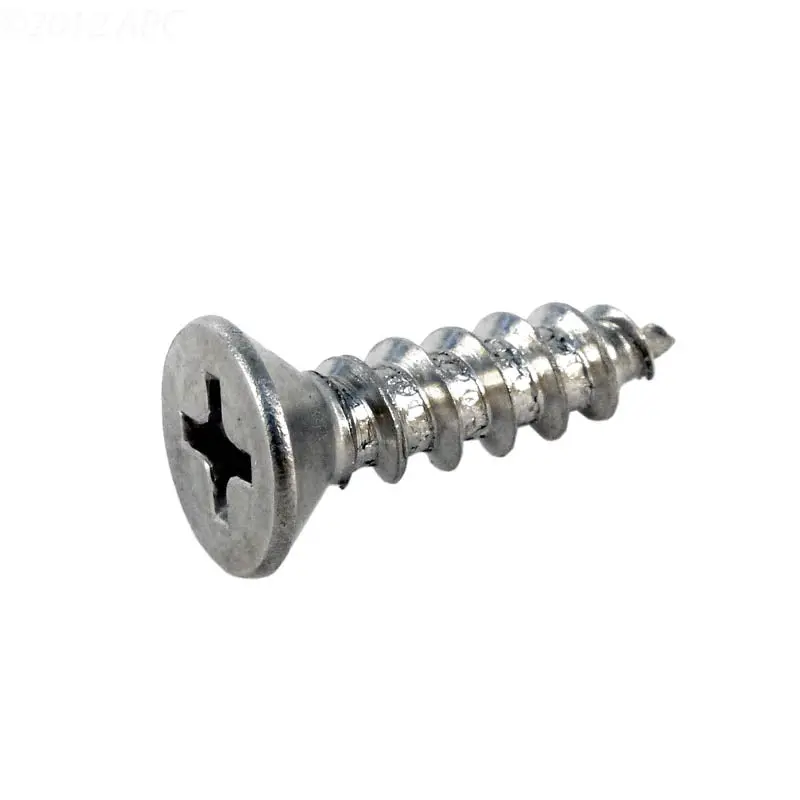 Pentair Flat Head Screw R172612 1