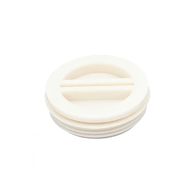 Pentair 1.5" Threaded Plug R22010z 1