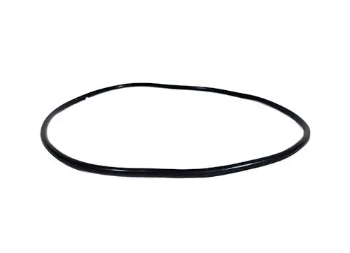 Hayward Cover O-Ring Spx0710z3 2