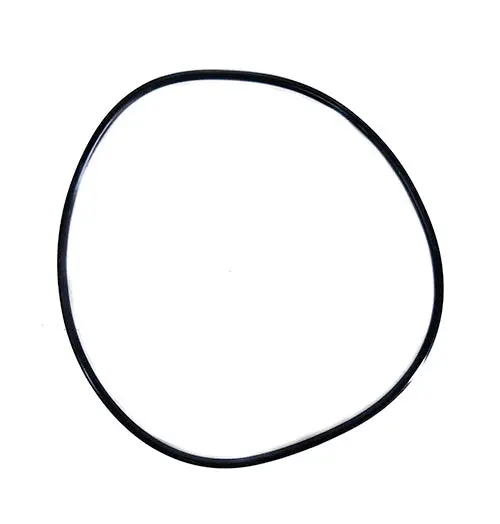 Hayward Cover O-Ring Spx0710z3 1