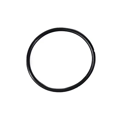 Hayward Union O-Ring Spx1495z1 1